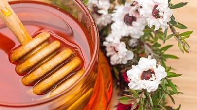 Les caractéristiques et les bienfaits du miel de Manuka
