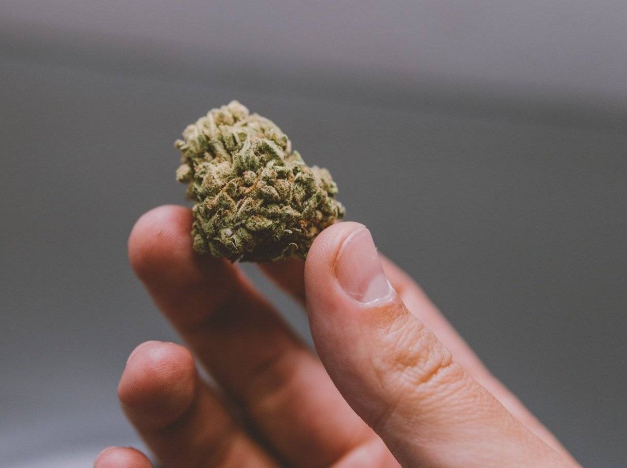 Comment peut se consommer la fleur de CBD ?
